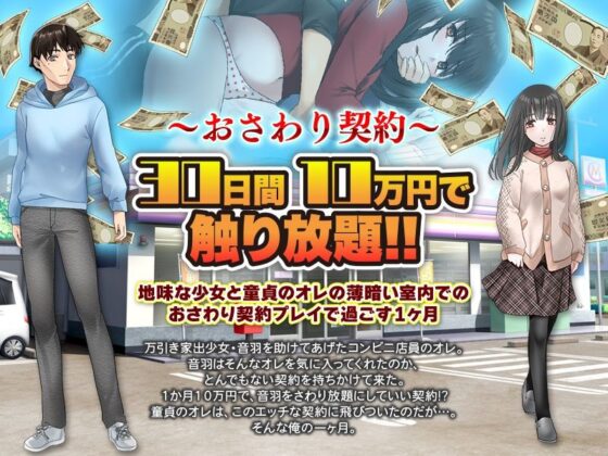 30日間10万円で私のこと触り放題です……っ。(大和ふみ) - FANZA同人