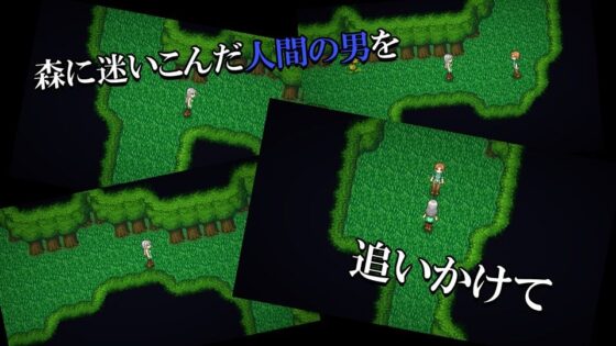 エルフが襲っちゃダメですか？(ココラトリ) - FANZA同人