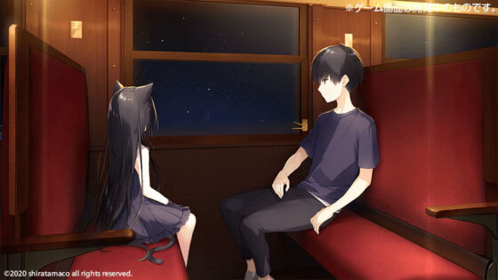 星空鉄道とシロの旅(しらたまこ) - FANZA同人