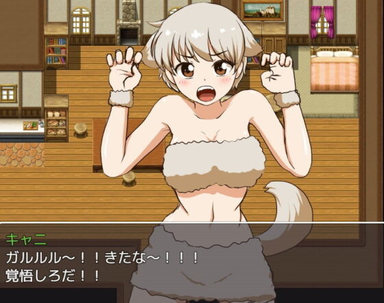 け-MO-no-モノ〜獣っ娘3人を…(モナルク) - FANZA同人