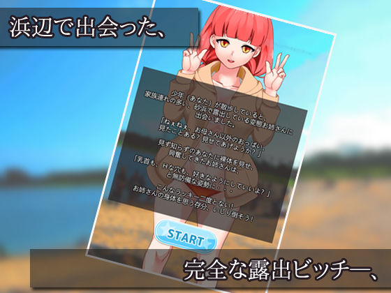 露出ビッチを、好きなだけ「おさわり」しよう！〜ゲーム版(同人美少女イラスト) - FANZA同人