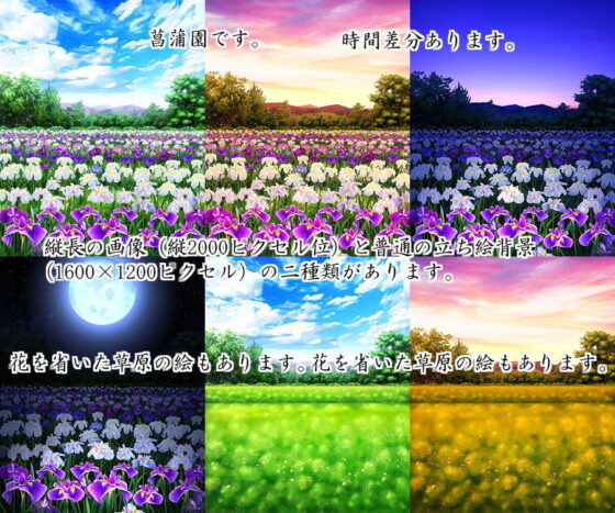 Royalty-Free Iris Flower Background CG Assets