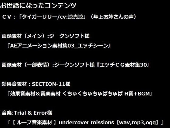 武将のお姉さんが騎乗します(Din) - FANZA同人