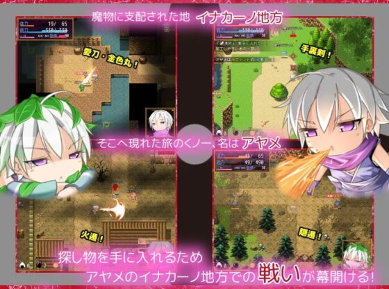 くノ一アヤメ(ハウスゲーム) - FANZA同人