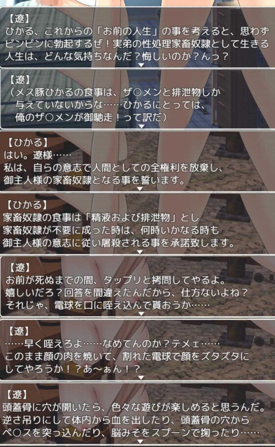 バーチャルZ(飛燕) - FANZA同人