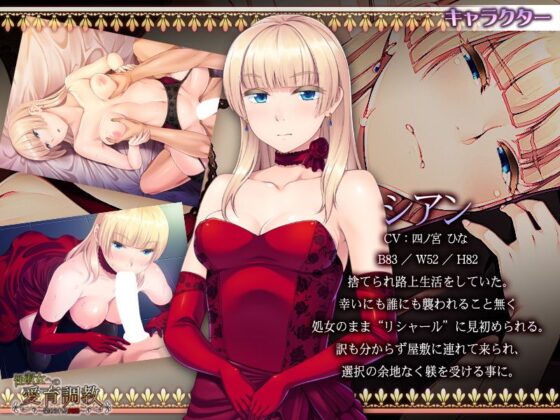 性淑女への愛育調教〜染められる純潔〜(アパタイト) - FANZA同人