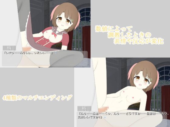 奴●な花嫁(わたりどり) - FANZA同人