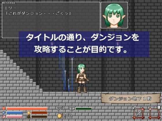 ダンジョンに挑む者たち(MuMu-Factory) - FANZA同人