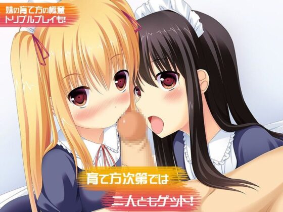 正しい姉妹の調教方(しすてぃあ〜ずPlus) - FANZA同人