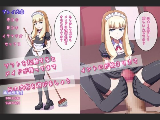 淡々と性欲処理してくれるメイドは妊娠さらには中絶までしてくれる！(第Lスタジオ) - FANZA同人