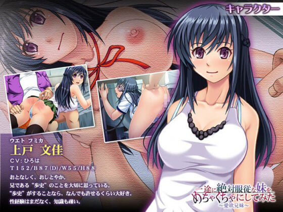 一途に絶対服従な妹をめちゃくちゃにしてみた〜愛欲兄妹〜(アパタイト) - FANZA同人