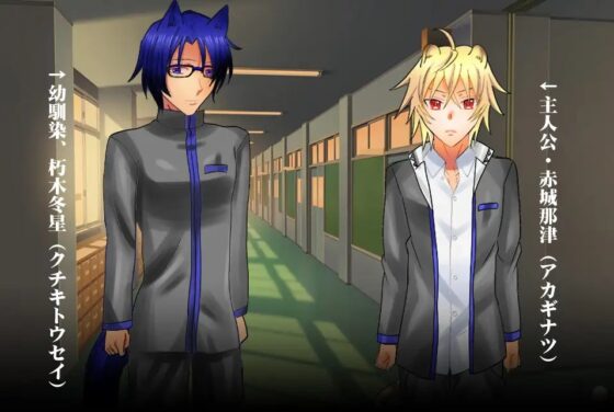 Pure-Hearted NTR Delinquent Story