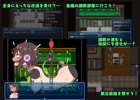 ダルマエスケープ 無人調教施設から脱出せよ! [アキ博士の研究所] | DLsite 同人 - R18