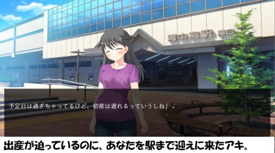 【出産ゲーム】子犬系の妻 アキの自宅出産【DL】※windows版のみ [BIRTH LAB] | DLsite 同人 - R18