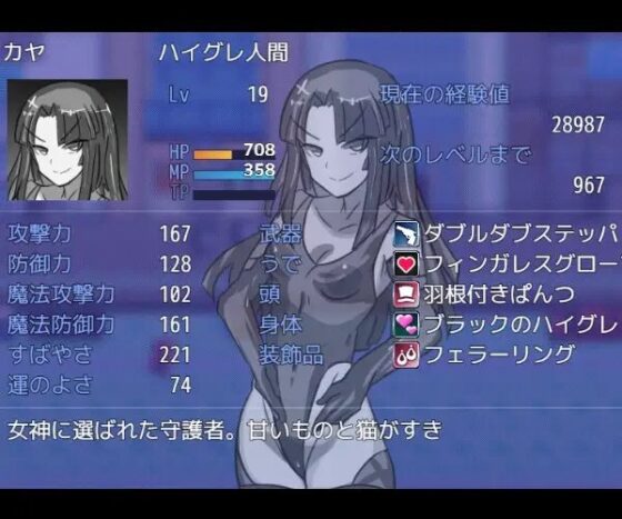 ハイグレRPG [ナスカ] | DLsite 同人 - R18