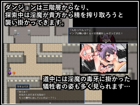 真面目な冒険者を目指していた僕が 淫魔ハンターのエッチな試験を受ける事になるなんて! [LogisticLine] | DLsite 同人 - R18