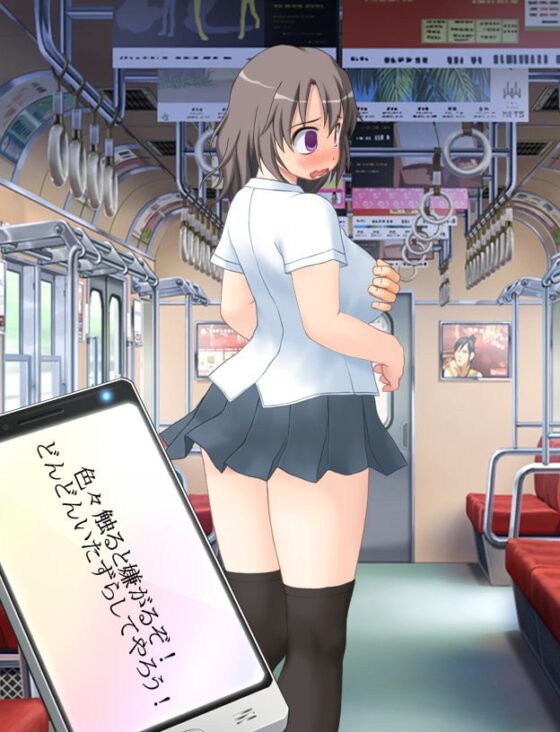 おさわり痴漢電車 [ミックスポンチ] | DLsite 同人 - R18