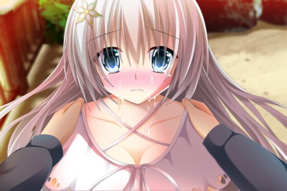 君と歩んだ偽物 [トリミノそふと] | DLsite 同人 - R18