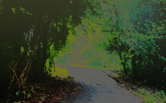 Adash [MistForest] | DLsite 同人 - R18