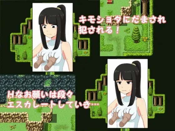 黒雪とHな依頼 [トカゲ森] | DLsite 同人 - R18