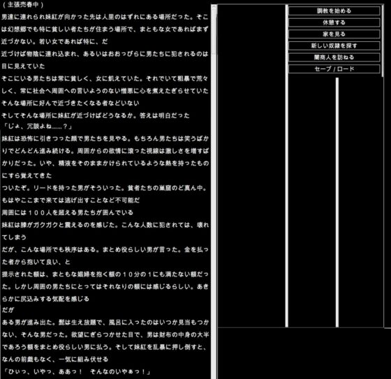 東方隷落記 穢された永遠亭 [幻灯摩天楼] | DLsite 同人 - R18