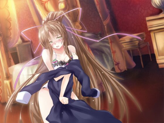 vol.04 DAGGER 銀環の誓い [The sense of sight] | DLsite 同人 - R18