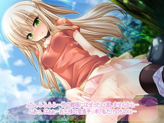 妹4人と中出し性活!～じゃれつき甘えにお世話♪妹たちとイチャイチャがとまらない!お兄ちゃんの精子は絶滅必至!?～ [Norn／Miel／Cybele] | DLsite 同人 - R18