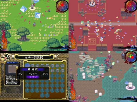 真・東方無双 [はちみつくまさん] | DLsite 同人 - R18