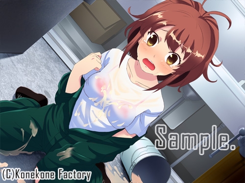 あなアケぽんち! [こねこねふぁくとりぃ] | DLsite 同人 - R18