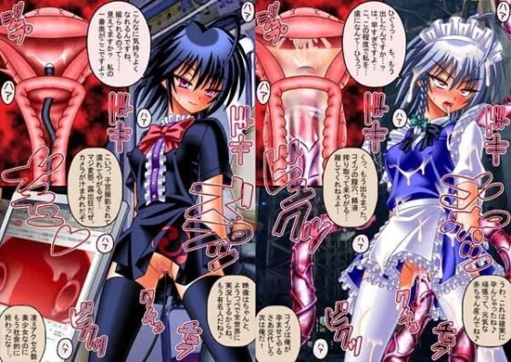 文々エロ新聞  ～射命丸の逆レイプ実況&amp;調教メス犬天子～ [女騎士の城] | DLsite 同人 - R18