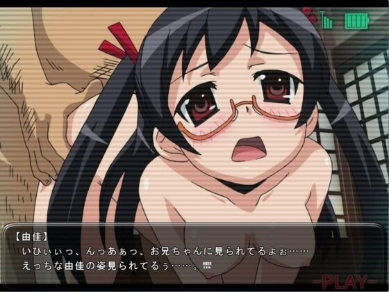 妹妹被鄉下大叔們奪走了(WILD FLOWER) - FANZA同人