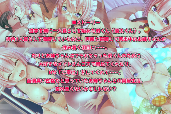 姉がメイドになりまして・・・(スタジオねこキック) - FANZA同人