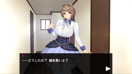 人気コスプレイヤーの姉を調教配信してみた(アーモンドと巨牛乳) - FANZA同人