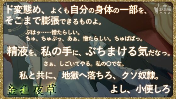 金色夜草(野良猫ハウス) - FANZA同人