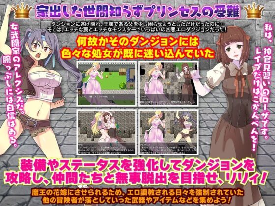 【悲報】プリンセスは城を抜け出してダンジョン1人暮らしを始めた模様です(ちゃっぴぃ1) - FANZA同人