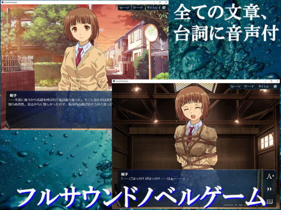 クライシス・イン・ザ・ウォーター Windows版(夢かき屋) - FANZA同人