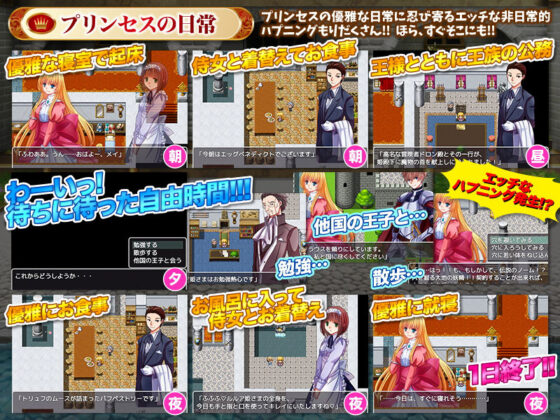 プリンセスの幸せな日常とトラウマ級の非日常(中津マッキー) - FANZA同人