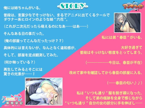 Cool Sister Observation Diary - Secret Masturbation Caught on Camera