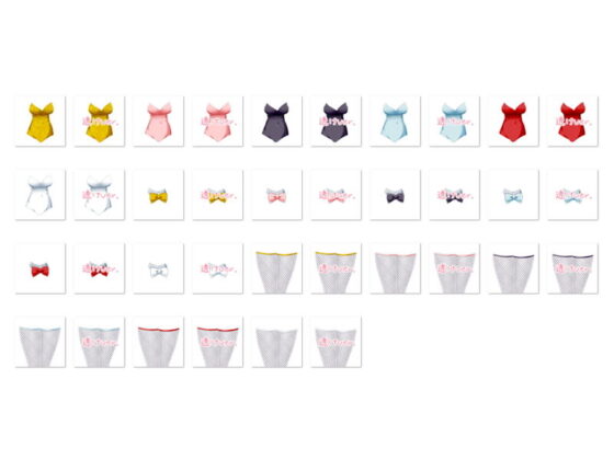 Sano Toshihide Personal Artist - Bunny Girl Costume Set C