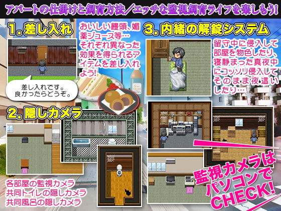 覗き！夜●い侵入！秘密改造アパート経営計画(琥珀バレット) - FANZA同人