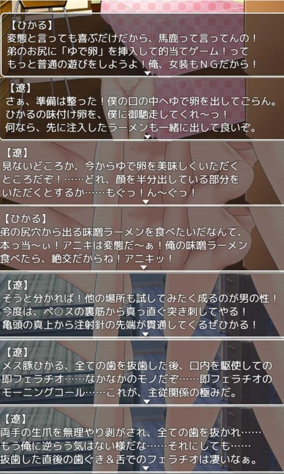 バーチャルZ(飛燕) - FANZA同人