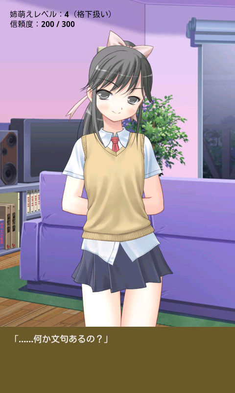 姉萌え♪ 〜 そんなにお姉ちゃんが良いの？ もう、しょうがないな……【apkファイル単体の販売です】(Team Moko App.) - FANZA同人