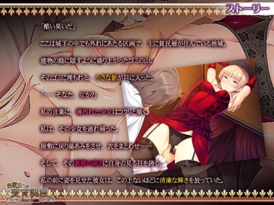 性淑女への愛育調教〜染められる純潔〜(アパタイト) - FANZA同人