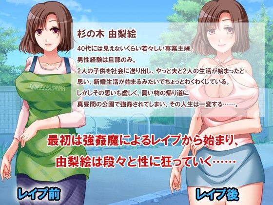 寝取られ変態妻 痴態日誌(ソドムトゴモラ) - FANZA同人