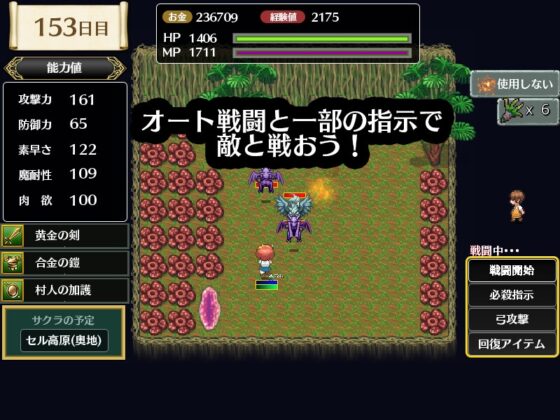 霧の遺跡と一人の剣士 [ただのでこ] | DLsite 同人 - R18