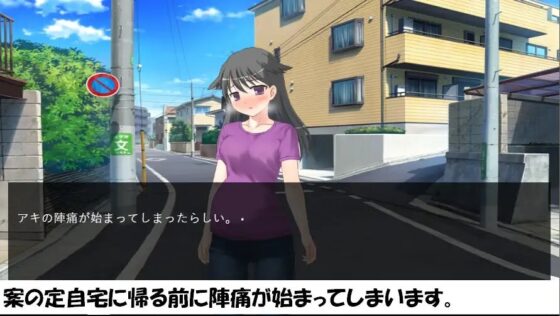 【出産ゲーム】子犬系の妻 アキの自宅出産【DL】※windows版のみ [BIRTH LAB] | DLsite 同人 - R18