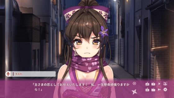 NinNinDays [qureate] | DLsite 同人 - R18