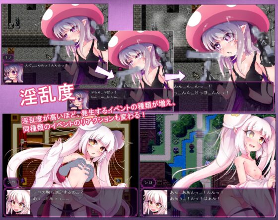 キノコたんの生態日誌 [GODNASK] | DLsite 同人 - R18