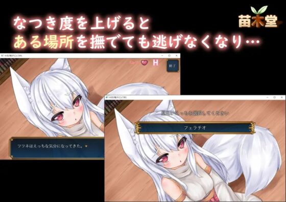 妖狐が転がりこんできた [苗木堂] | DLsite 同人 - R18
