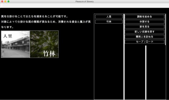 東方隷落記 穢された永遠亭 [幻灯摩天楼] | DLsite 同人 - R18